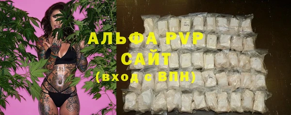ГАЛЛЮЦИНОГЕННЫЕ ГРИБЫ Майский