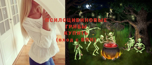 ГАЛЛЮЦИНОГЕННЫЕ ГРИБЫ Майский
