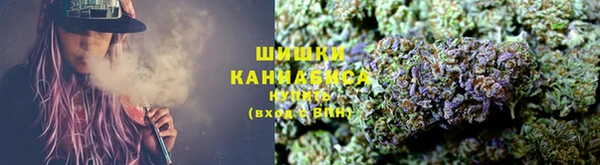 ГАЛЛЮЦИНОГЕННЫЕ ГРИБЫ Майский
