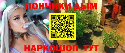 Альфа ПВП Моздок