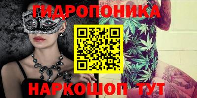 прущие грибы Можайск