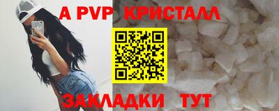 прущие грибы Можайск