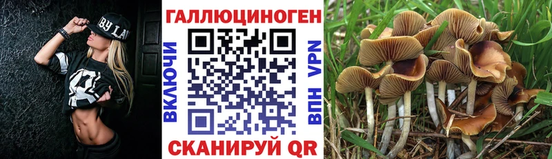 Галлюциногенные грибы мухоморы  купить наркотики сайты  Похвистнево 